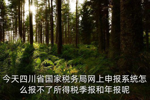 今天四川省國家稅務局網(wǎng)上申報系統(tǒng)怎么報不了所得稅季報和年報呢