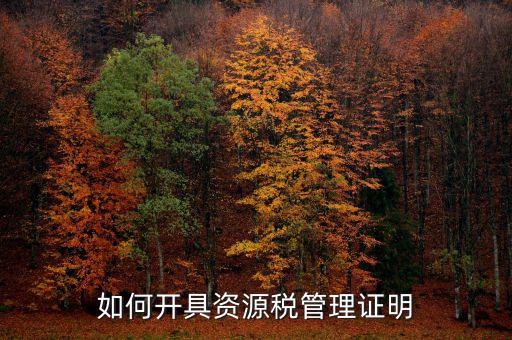 資源稅乙種證明要什么資料，混凝土公司購(gòu)買(mǎi)砂石需要開(kāi)具資源稅乙種證明嗎