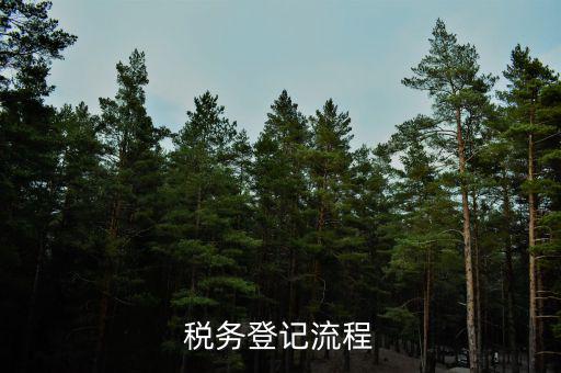 扣繳稅款登記主要流程是什么意思，納稅流程是怎樣的