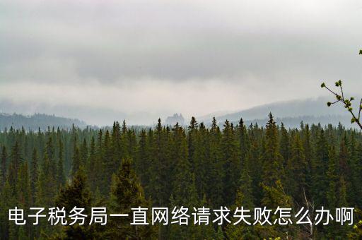 貴州省網(wǎng)上稅務局為什么打不開，怎么打不開貴州地方稅務局網(wǎng)站