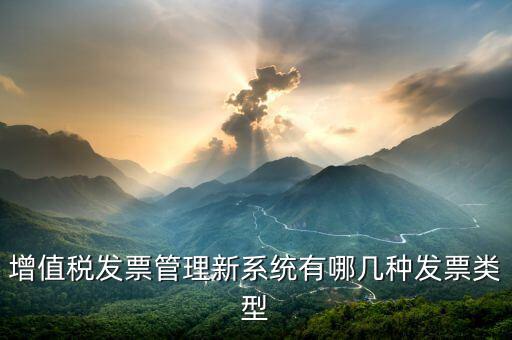 增值稅發(fā)票管理新系統(tǒng)是什么，增值稅開票系統(tǒng)有幾種 增值稅開票系統(tǒng)有哪些