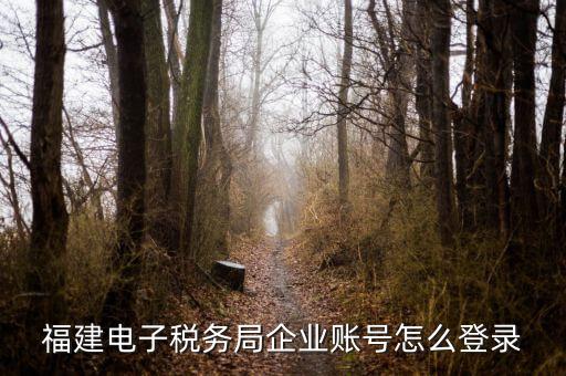 福建省地稅登入名是什么，地稅網(wǎng)上報(bào)稅平臺(tái)報(bào)稅賬號(hào)是什么