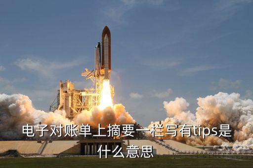 國稅tips系統(tǒng)指什么，電子對賬單上摘要一欄寫有tips是什么意思