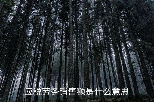 稅勞務(wù)銷售額是什么，增值稅會(huì)計(jì)處理銷售貨物或應(yīng)稅勞務(wù)的銷售額