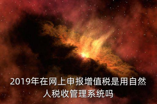 什么是增值稅管理系統(tǒng)，2019年在網(wǎng)上申報增值稅是用自然人稅收管理系統(tǒng)嗎