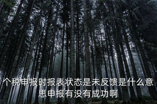 個稅為什么要獲取反饋信息，個稅申報完成后的反饋文件有什么用