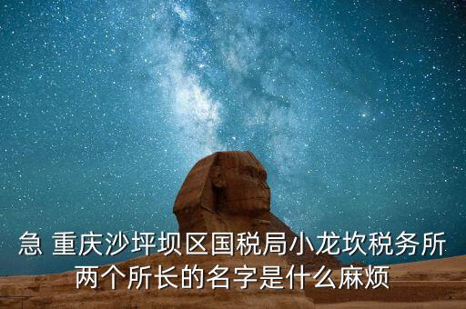 稅務所所長什么級別，地稅局基層稅務所屬什么層級