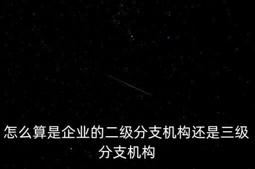 什么叫企業(yè)二級(jí)分支機(jī)構(gòu)，現(xiàn)在分公司要辦稅務(wù)登記證但是我想問(wèn)一下二級(jí)分機(jī)構(gòu)指的是