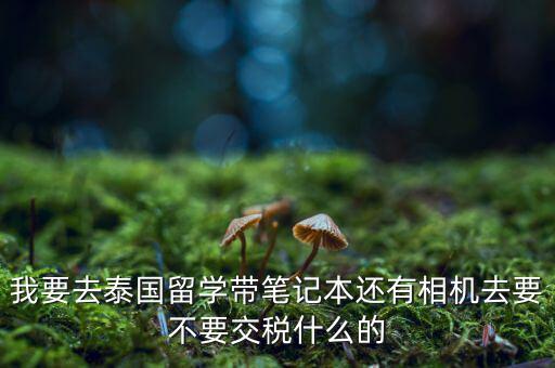 泰國什么人需要納稅，我要去泰國留學(xué)帶筆記本還有相機去要不要交稅什么的