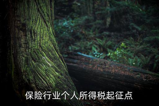 保險行業(yè)入交什么稅，保險行業(yè)個人所得稅起征點