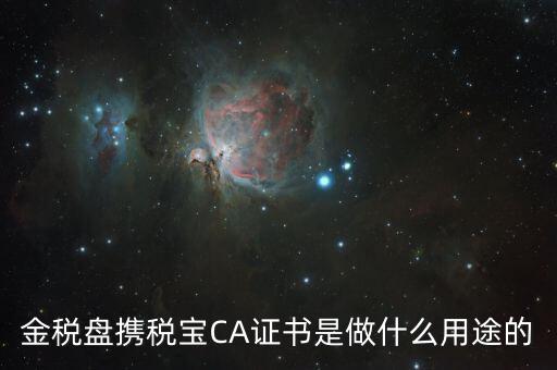 稅友的ca是什么，什么是稅務(wù)局的CA證書