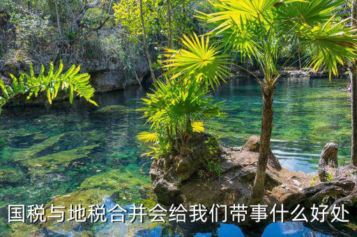 國稅地稅合作有什么意見，國稅地稅合并有何重要意義
