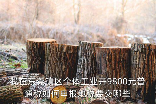 四稅一費(fèi)是什么，我在東莞鎮(zhèn)區(qū)個(gè)體工業(yè)開(kāi)9800元普通稅如何申報(bào)地稅要交哪些