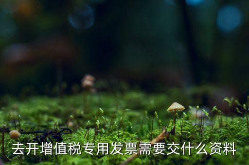 開(kāi)專(zhuān)票需要對(duì)方什么資料，開(kāi)具增值稅專(zhuān)用發(fā)票需要購(gòu)買(mǎi)方提交什么資料稅屋