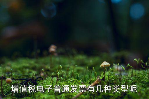 普通發(fā)票有什么種類，發(fā)票分幾種