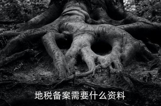 國(guó)地稅備案需要什么資料，地稅備案需要什么資料