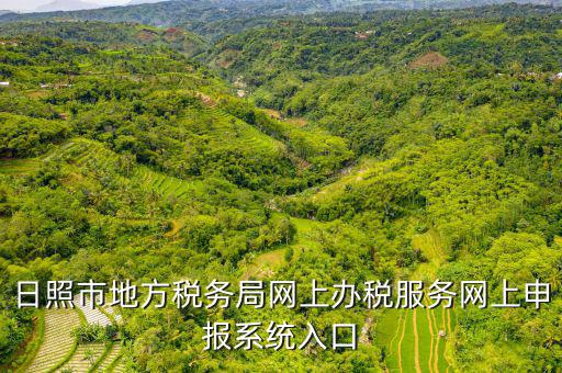 日照報稅的網(wǎng)址是什么意思，網(wǎng)上報稅在哪個網(wǎng)站