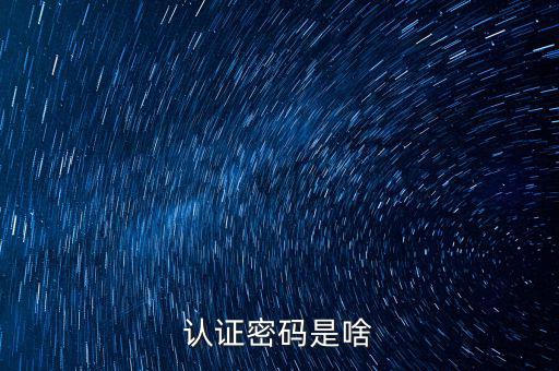 網(wǎng)上認證的密碼是什么意思啊，市民身份證手機認證服務(wù)密碼是什么意思在線等急