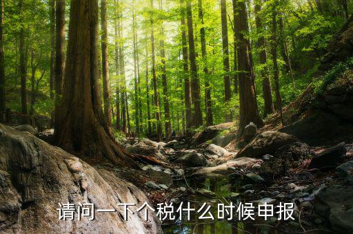 個(gè)稅什么時(shí)候開始申報(bào)，個(gè)人所得稅明細(xì)申報(bào)什么時(shí)候報(bào)