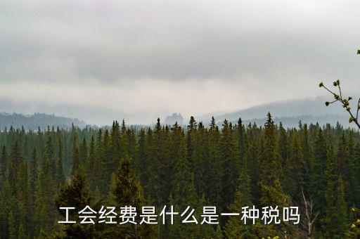 工會(huì)稅是什么，精靈樂章 工會(huì)抽稅是什么意思要詳細(xì)的