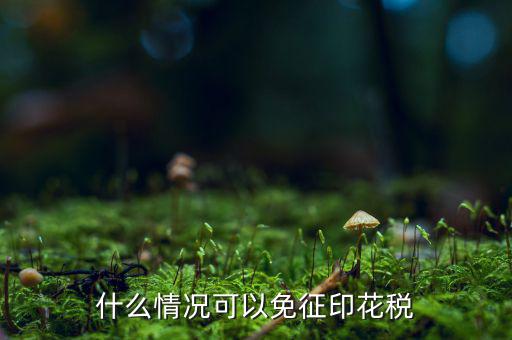 印花稅免稅是什么政策規(guī)定，什么情況可以免征印花稅