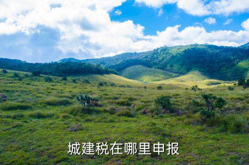 地稅城市維護(hù)建設(shè)稅按什么申報(bào)，城建稅申報(bào)