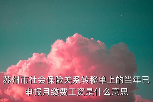 蘇州市社會保險(xiǎn)關(guān)系轉(zhuǎn)移單上的當(dāng)年已申報(bào)月繳費(fèi)工資是什么意思