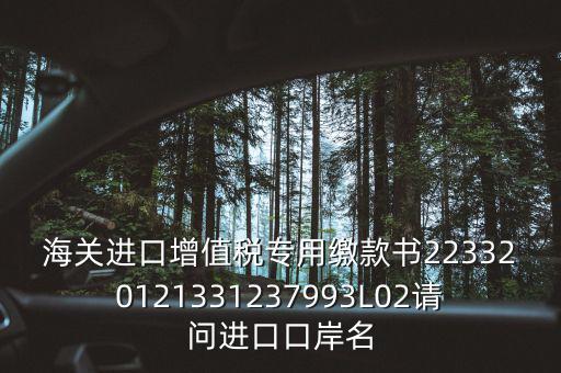 海關(guān)進(jìn)口增值稅專用繳款書223320121331237993L02請(qǐng)問進(jìn)口口岸名