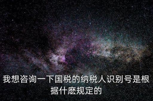臨時(shí)納稅人代碼是什么，我想咨詢一下國稅的納稅人識(shí)別號(hào)是根據(jù)什麼規(guī)定的