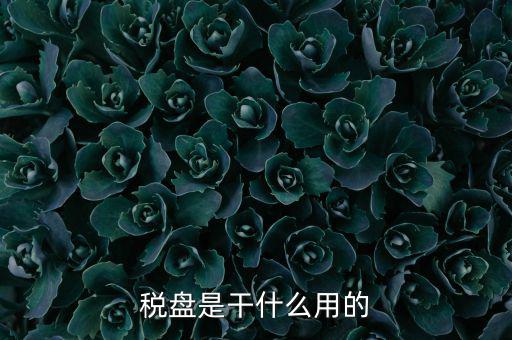 為什么要買金稅盤，稅控盤是一定要買的嗎