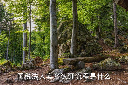 稅務(wù)實名認證需要什么，在國稅局辦理實名認證要準備哪些資料
