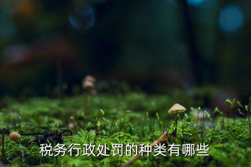 涉稅行政處罰包括什么，什么叫稅務(wù)行政處罰當事人
