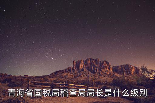 青海國稅局局長叫什么，詢問09年國稅和青海省地稅報考公務(wù)員時間