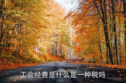 工會經(jīng)費是什么是一種稅嗎