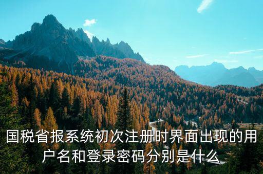 河南省國(guó)稅申報(bào)系統(tǒng)帳號(hào)是什么，請(qǐng)問(wèn)國(guó)稅申報(bào)用戶號(hào)是什么密碼又是什么