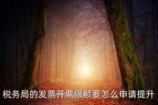 提高開票限額申請需要什么資料，去稅務(wù)局增大公司的開票限額需要帶些什么我公司第一次開票去申
