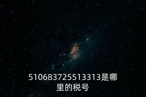 陜西省地方的稅號開頭是什么，510683725513313是哪里的稅號