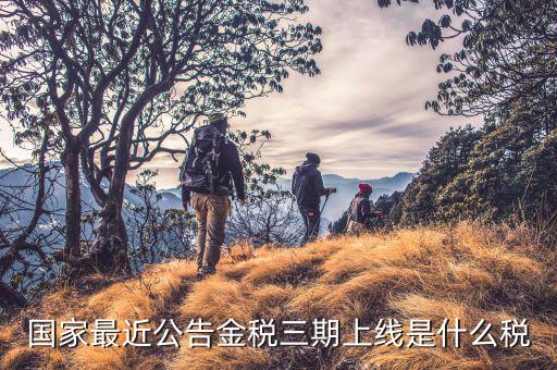 金稅三期從什么上線，國家最近公告金稅三期上線是什么稅