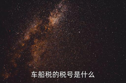 車船稅的稅號(hào)是什么