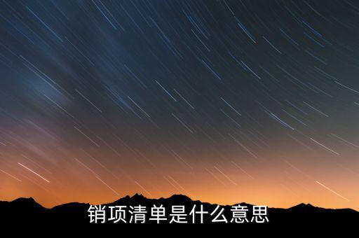 增值稅報稅清單是什么意思，發(fā)票清單是什么