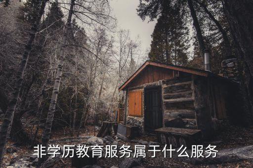 非學(xué)歷教育服務(wù)入賬做什么，非學(xué)歷教育咨詢費能入賬嗎