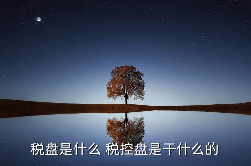中稅協(xié)安全盤是什么，稅盤是什么 稅控盤是干什么的