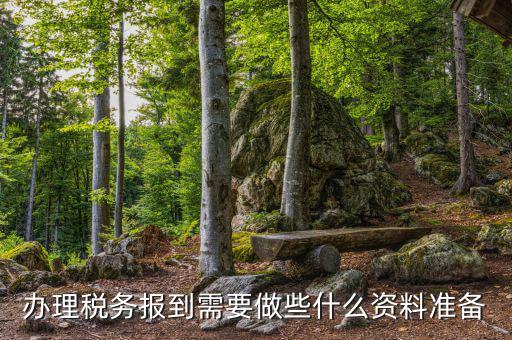 辦理稅務(wù)報到需要做些什么資料準備
