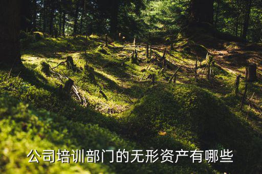 其他權(quán)益性無形資產(chǎn)是什么，無形資產(chǎn)屬于什么科目