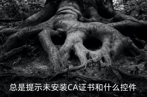 ca控件是什么意思，您是地稅CA用戶但未安裝企業(yè)CA控件為不影響申報(bào)功能正常使用請(qǐng)點(diǎn)