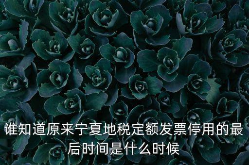 地稅的發(fā)票什么時(shí)候不能用，誰(shuí)知道原來(lái)寧夏地稅定額發(fā)票停用的最后時(shí)間是什么時(shí)候