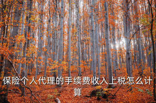 保險代理員交什么稅，請問從車輛保險代理人的提承里扣的稅是什么稅啊