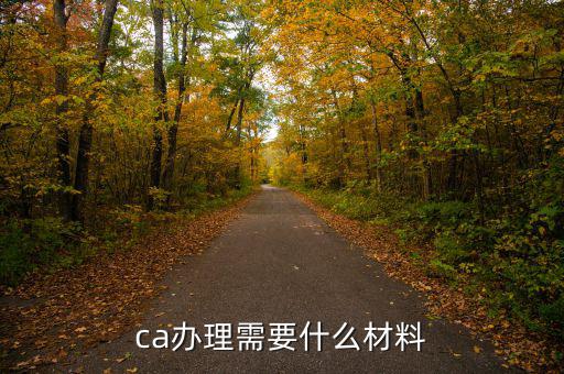 升級(jí)ca需要什么資料，企業(yè)辦理ca需要的材料