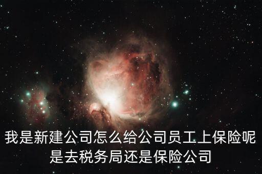 稅務局保險是什么，稅務局讓企業(yè)交得規(guī)費和參保費是什么