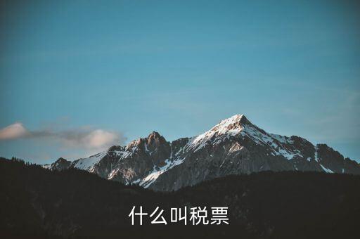 納稅稅票是什么，什么叫稅票
